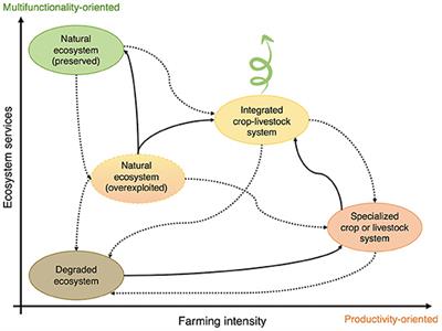 Reconnecting Grazing Livestock to Crop Landscapes: Reversing Specialization Trends to Restore Landscape Multifunctionality